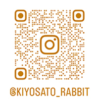 インスタグラム